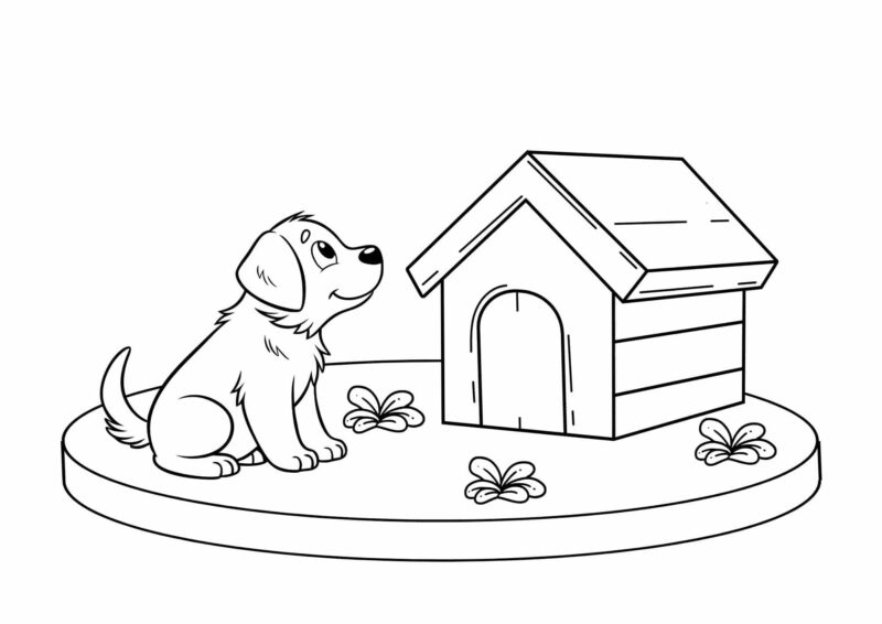 hunde 6 Lille hundehvalp, der sidder foran sit hundehus