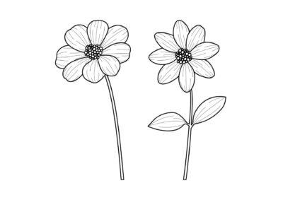 Tegninger af blomster 96 tegning af blomst 65