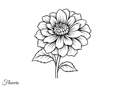 Tegninger af blomster 101 tegning af blomst 70