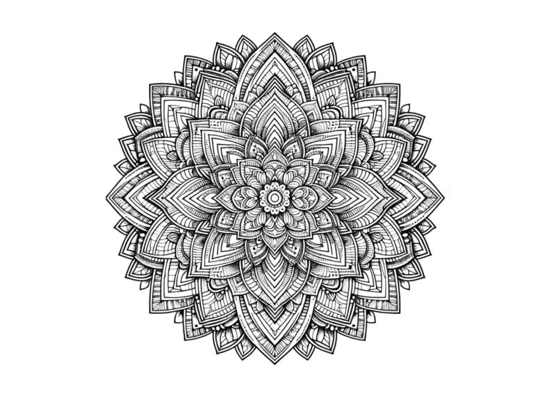 Mandala til farvelægning med store blomsterblade og mindre ornamenter