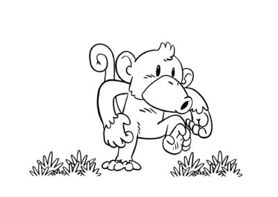 tegning af abe 30
