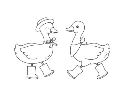 tegning af aender 1