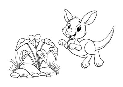 tegning af kaenguru 1