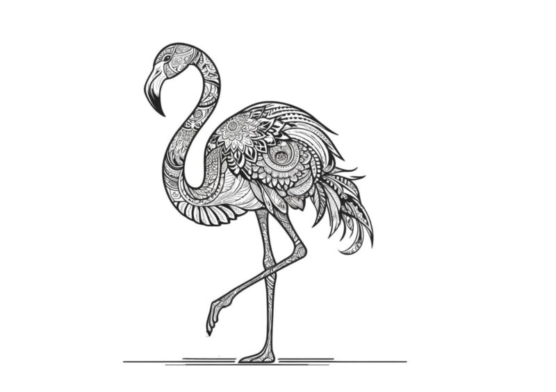 Flamingo med lange ben og detaljerede mønstre i fjerdragten