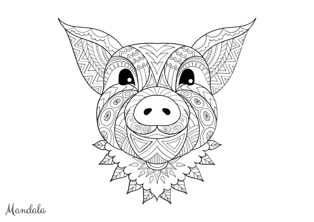 mandala tegning 114