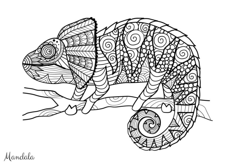 Mandalas 15 Kamæleon med snoet hale og dekorative kropsmønstre til farvelægning