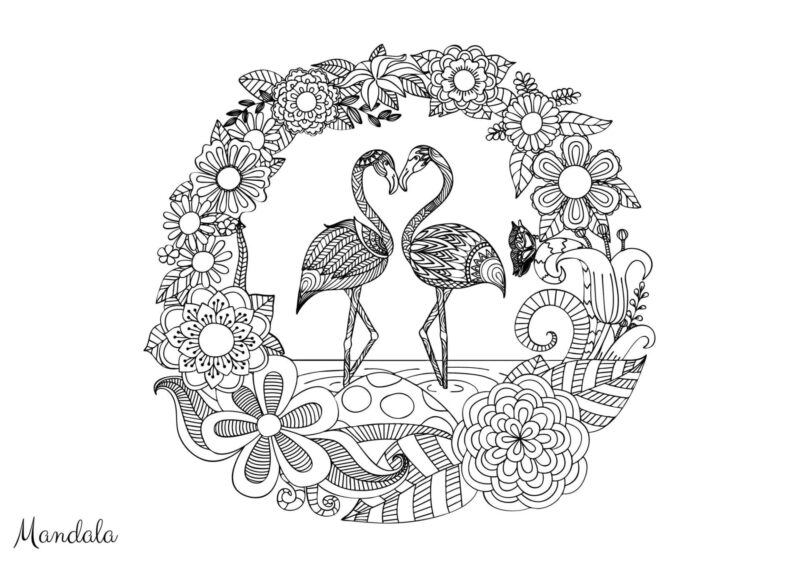 Mandalas 16 To flamingoer under en blomsterbue med hjerteformede halse til farvelægning