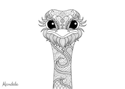 Tegninger af mandalas 53 mandala tegning 119