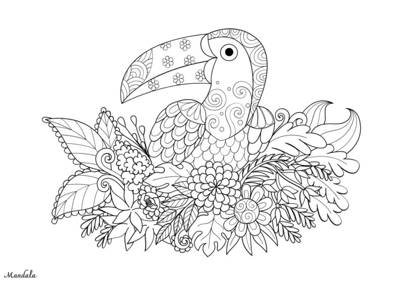 Mandalas 7 Fugl omgivet af blade og blomster i detaljeret mandalastil