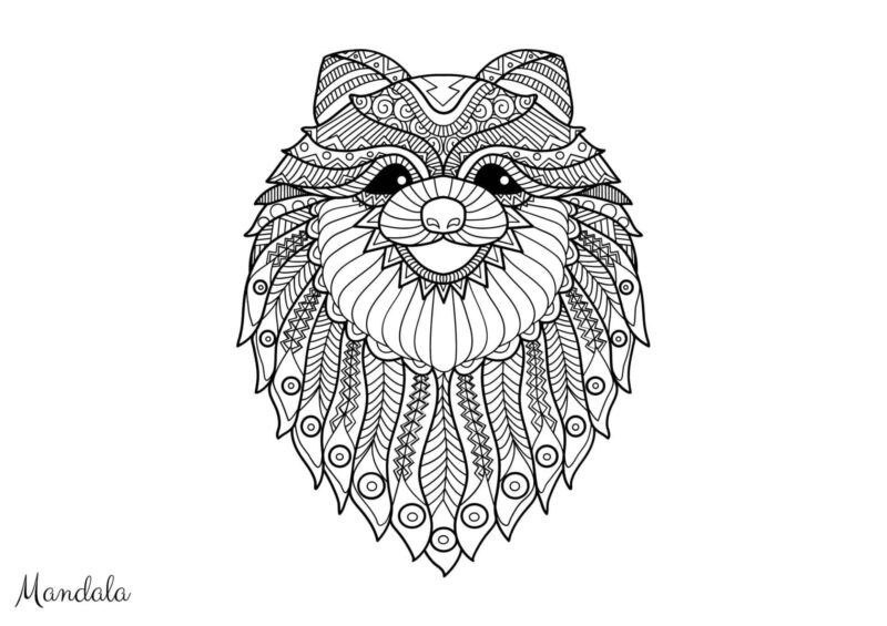 Mandalas 7 Løveansigt med en manke af dekorative linjer til farvelægning