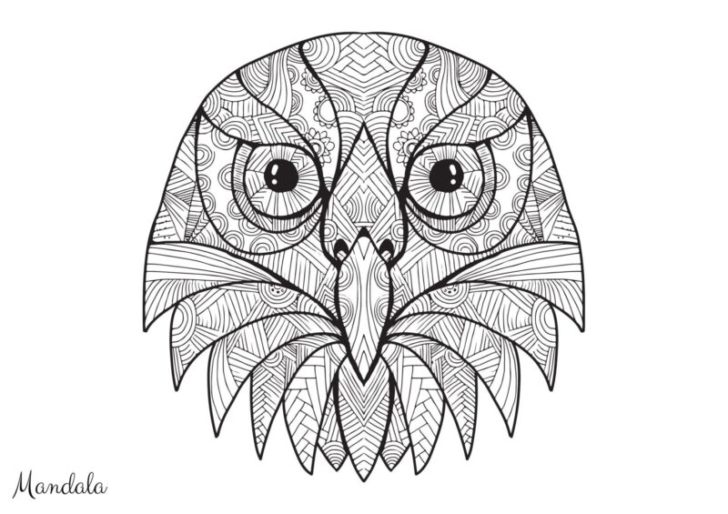 Mandalas 9 Ugleansigt med store øjne og symmetriske mønstre til farvelægning