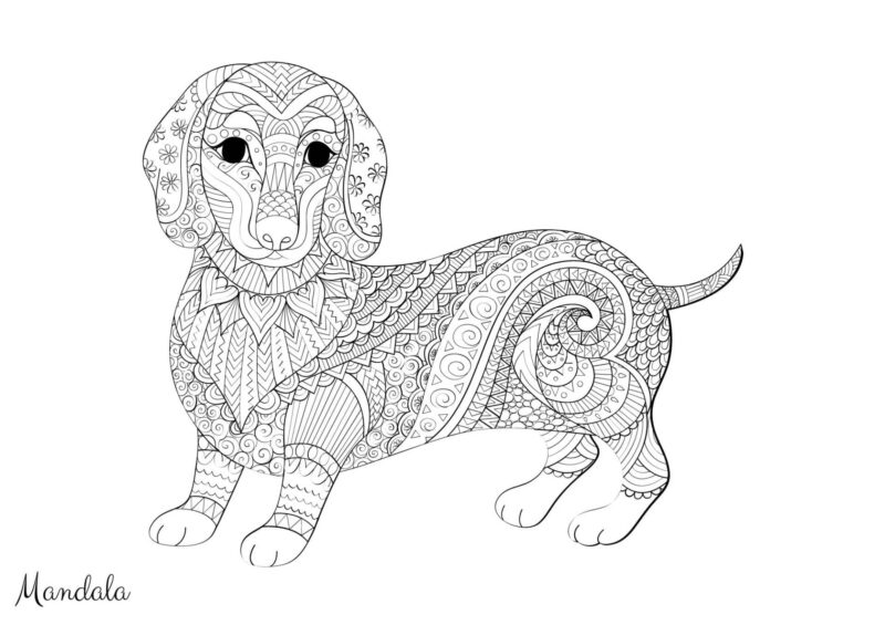 Mandalas 21 Hund med lange ører og dekorative mønstre til farvelægning