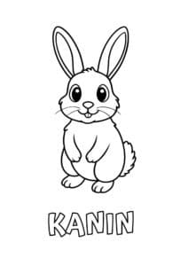 dyr med fem bogstaver kanin 1