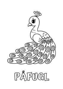 dyr med fem bogstaver paafugl 1