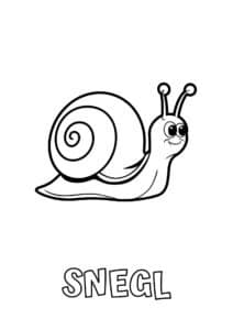 dyr med fem bogstaver snegl 1