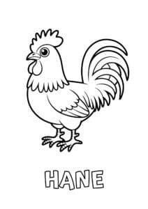 dyr med fire bogstaver hane 1