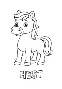 dyr med fire bogstaver hest 1