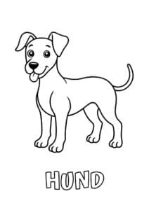 dyr med fire bogstaver hund 1