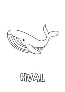 dyr med fire bogstaver hval 1