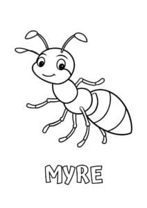 dyr med fire bogstaver myre 1