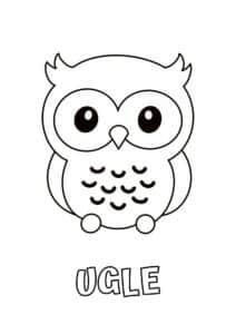 dyr med fire bogstaver ugle 1