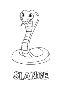 dyr med seks bogstaver slange 1