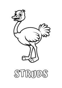 dyr med seks bogstaver struds 1