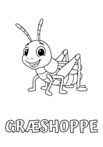 dyr med seks plus bogstaver graeshoppe 1