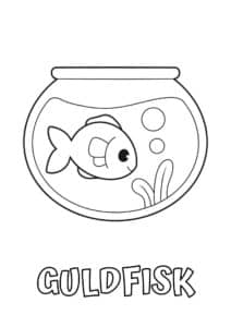 dyr med seks plus bogstaver guldfisk 1