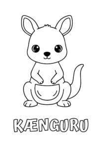 dyr med seks plus bogstaver kaenguru 1