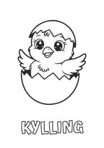 dyr med seks plus bogstaver kylling 1