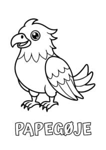 dyr med seks plus bogstaver papegoeje 1