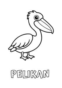 dyr med seks plus bogstaver pelikan 1