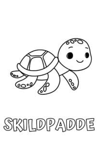 dyr med seks plus bogstaver skildpadde 1