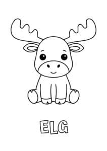 dyr med to bogstaver elg 1