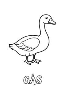 dyr med to bogstaver gaas 1