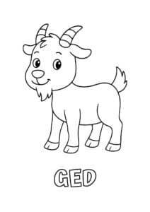 dyr med to bogstaver ged 1