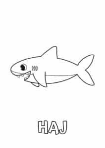 dyr med to bogstaver haj 1