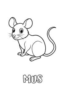 dyr med to bogstaver mus 2