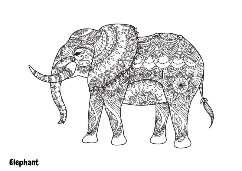 Elefant med snabel og detaljerede mandalamønstre på kroppen