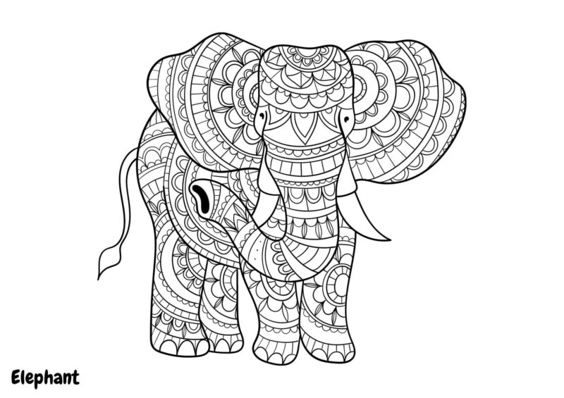 Elefant med snabel og detaljerede mandalamønstre på kroppen