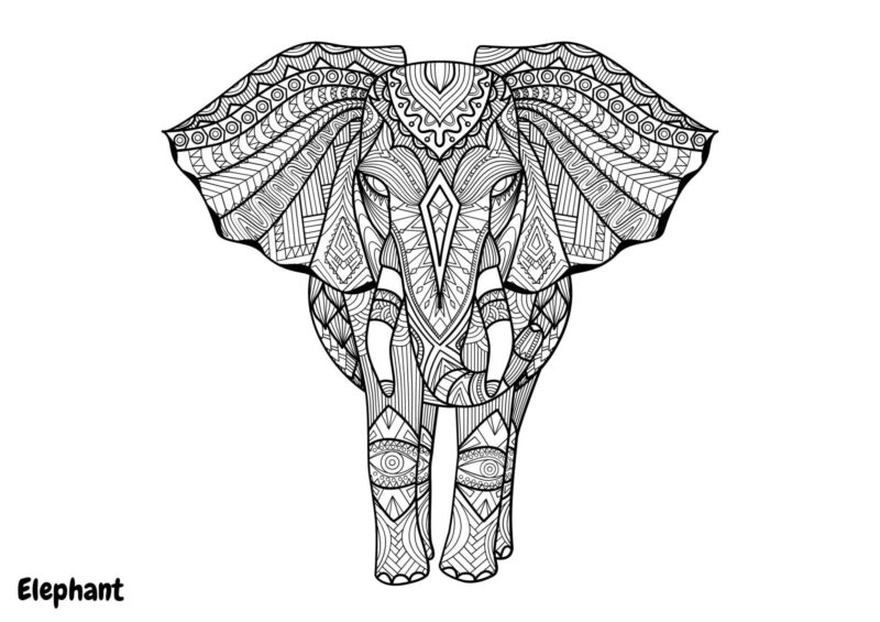 Mandalas 24 Elefant med snabel og detaljerede mandalamønstre på kroppen