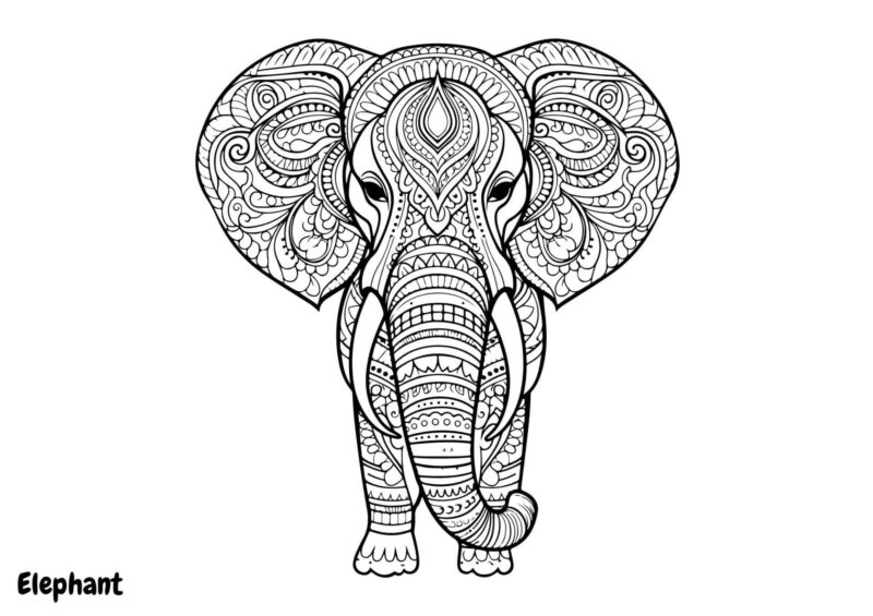 Mandalas 10 Elefant med snabel og detaljerede mandalamønstre på kroppen
