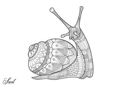 mandala tegning snegl 1