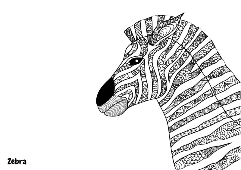 Mandalas 3 Zebra med dekorative mandalamønstre til farvelægning