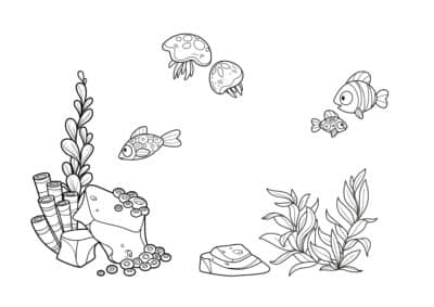 tegning af fisk 21