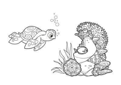 tegning af havskildpadde 5