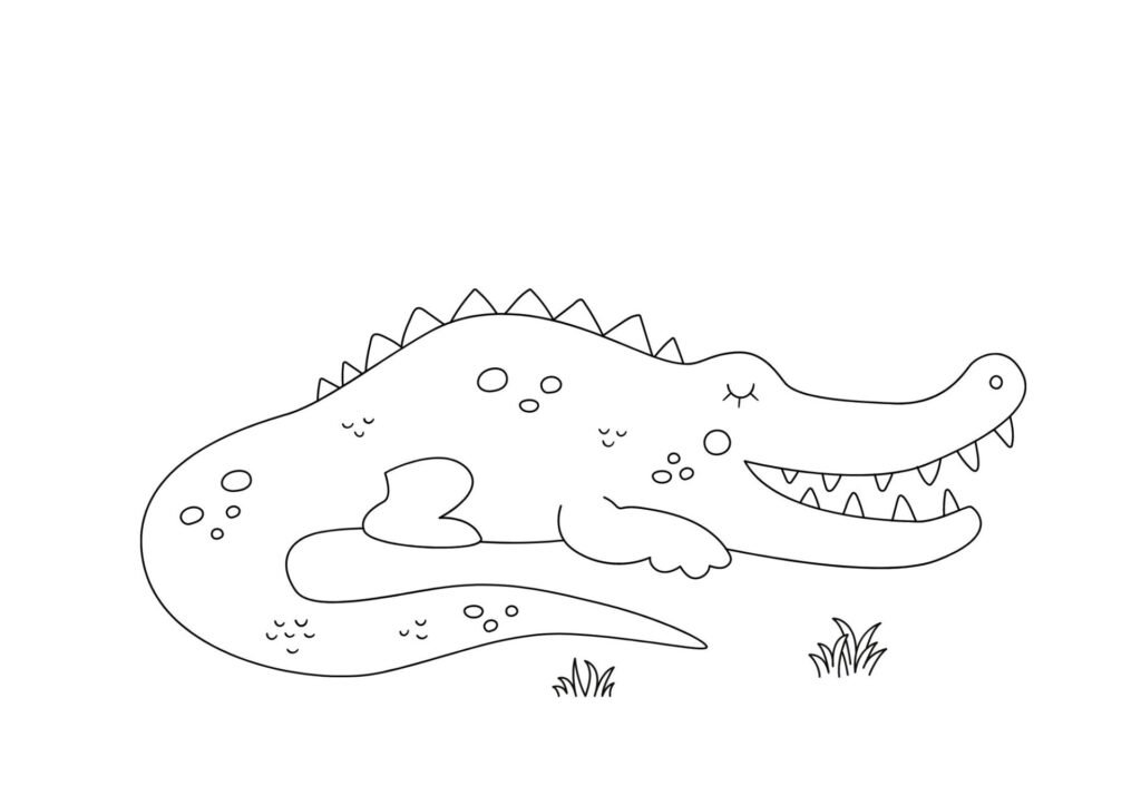 tegning af krokodille 5