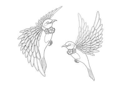Tegninger af fugle 36 tegning af fugl 38