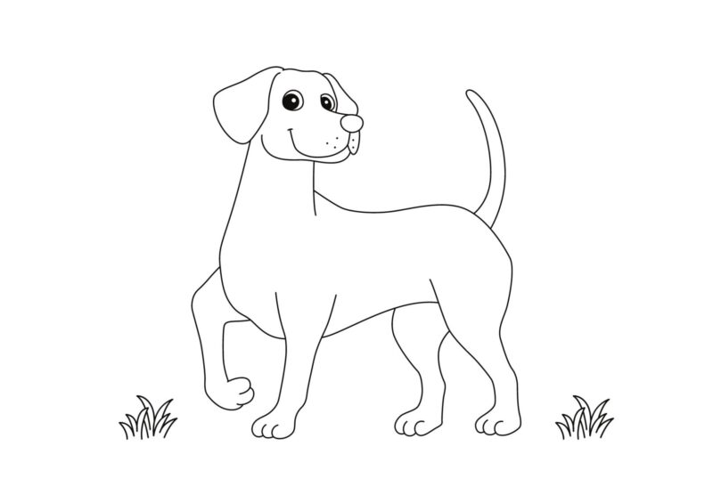 hunde 22 Hundehvalp ved en skål med hundemad
